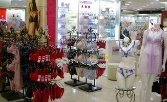 服装加盟特许经营模式 在零售领域的全面解读与操作指南